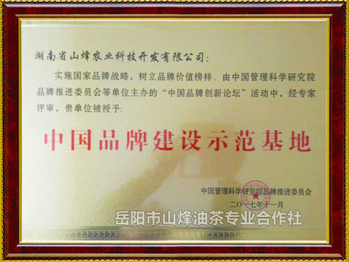 中国品牌建设示范基地