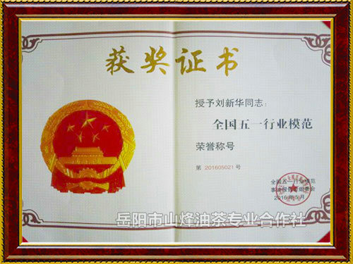 全国五一行业模范