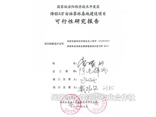 可行性研究报告