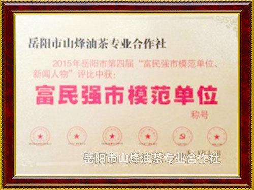 富民强市模范单位