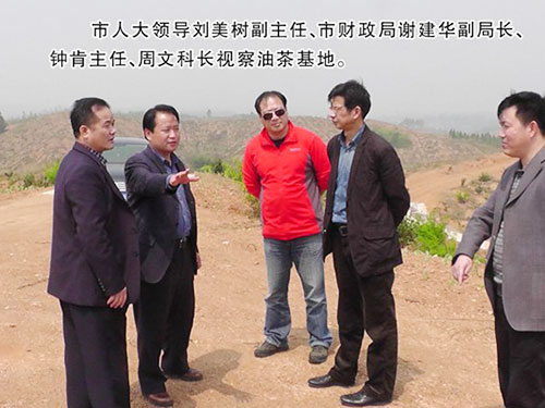 市人大领导刘美树副主任、市财政局谢建华副局长、钟肯主任、周文科长视察油茶基地