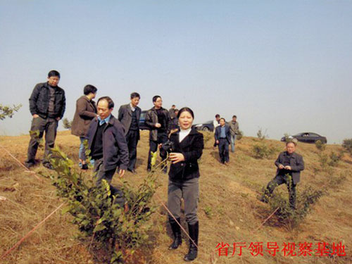 省厅领导视察基地