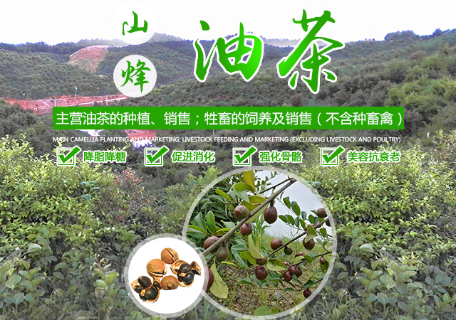 岳阳市山烽油茶专业合作社_岳阳油茶合作社|山烽油茶|油茶种植